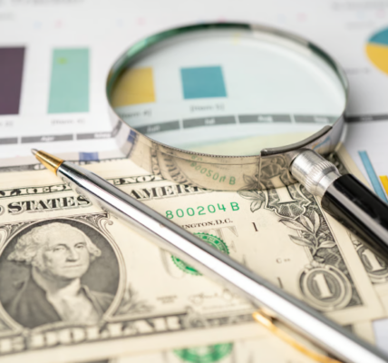Outsourced Financial Oversight